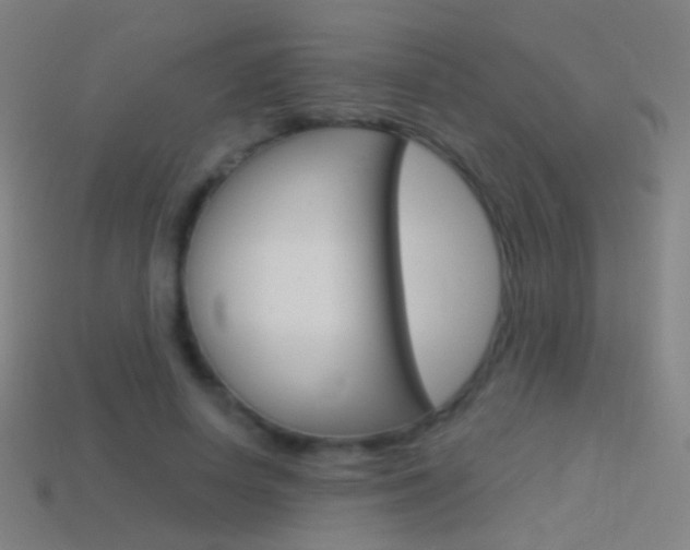 X0000114530642200910191011