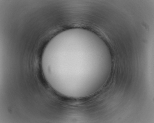 X0000114530643200910191011