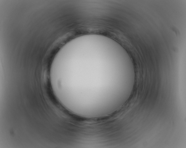 X0000114530644200910191011