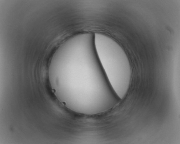 X0000114530648200910191011