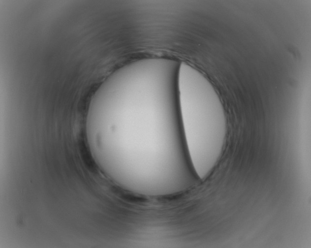 X0000114530656200910191011