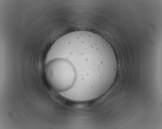 X0000114530662200910191011