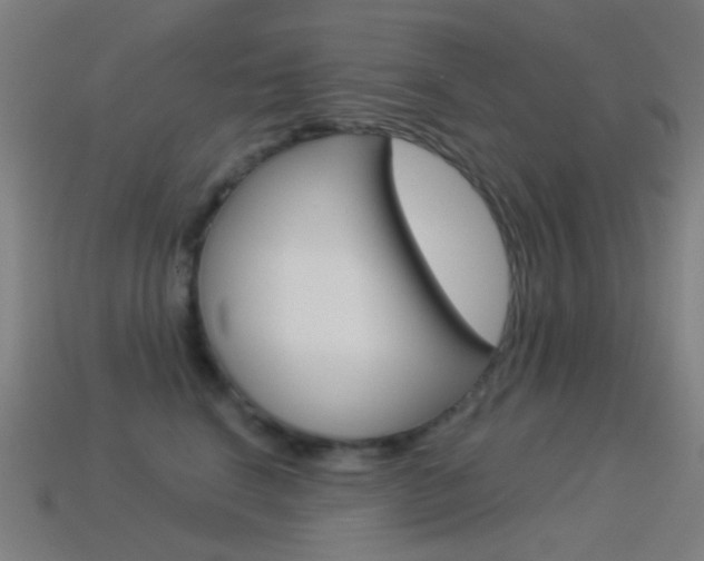 X0000114530664200910191011
