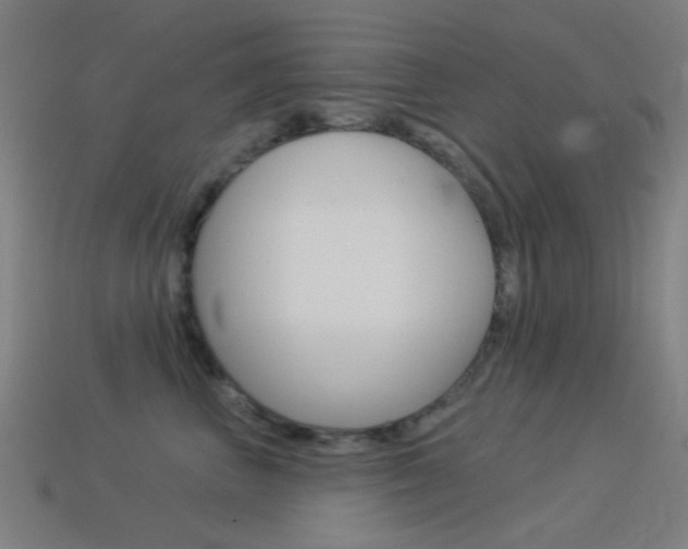X0000114530667200910191011