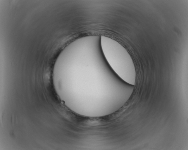 X0000114530668200910191011