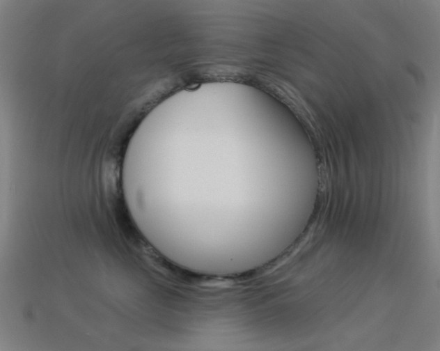 X0000114530669200910191011
