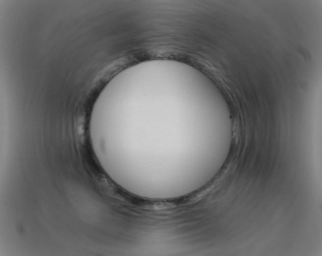 X0000114530670200910191011