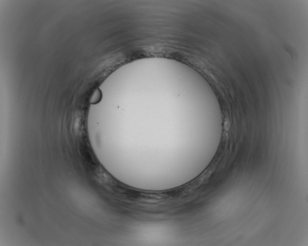 X0000114530671200910191011