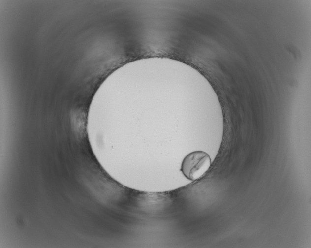 X0000114530672200910191011