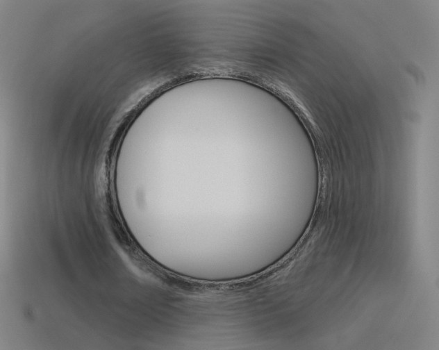 X0000114530674200910191010