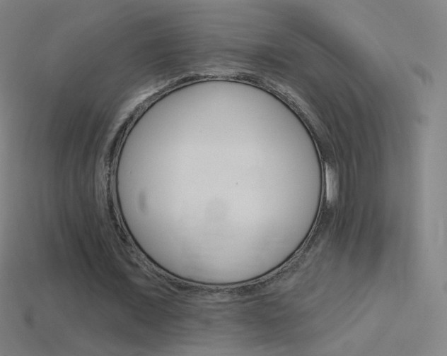 X0000114530675200910191010