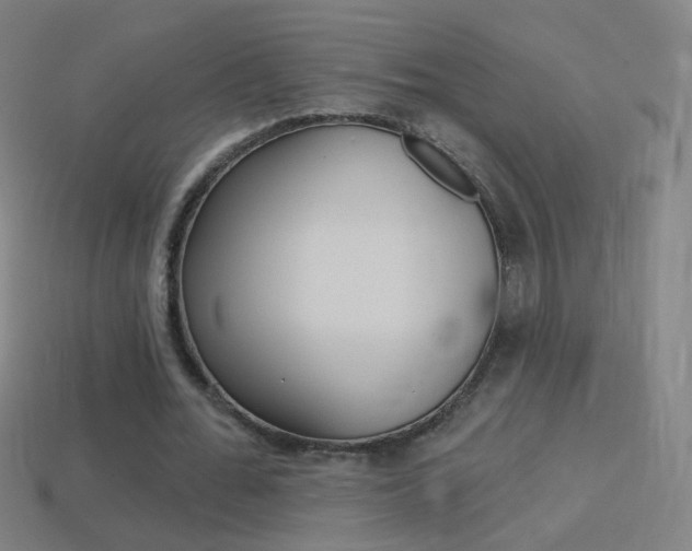 X0000114530676200910191010