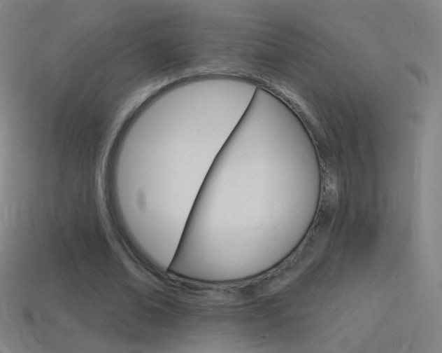 X0000114530678200910191010