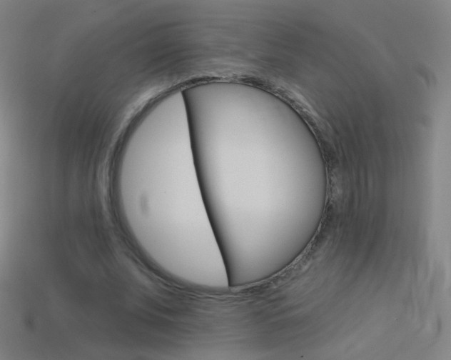 X0000114530679200910191010