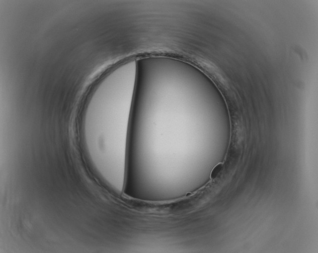 X0000114530680200910191010