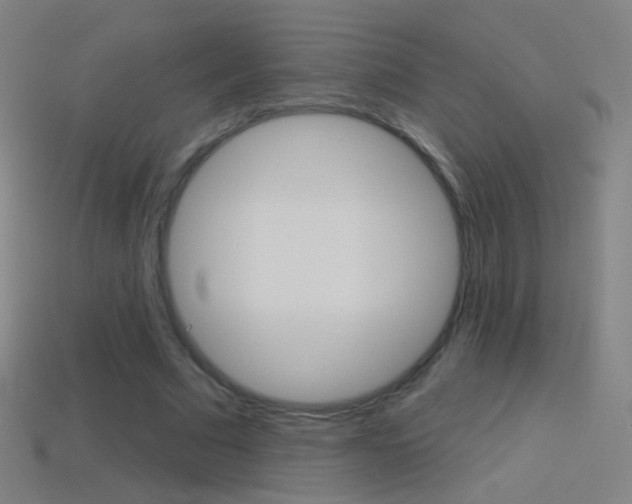 X0000114530681200910191010