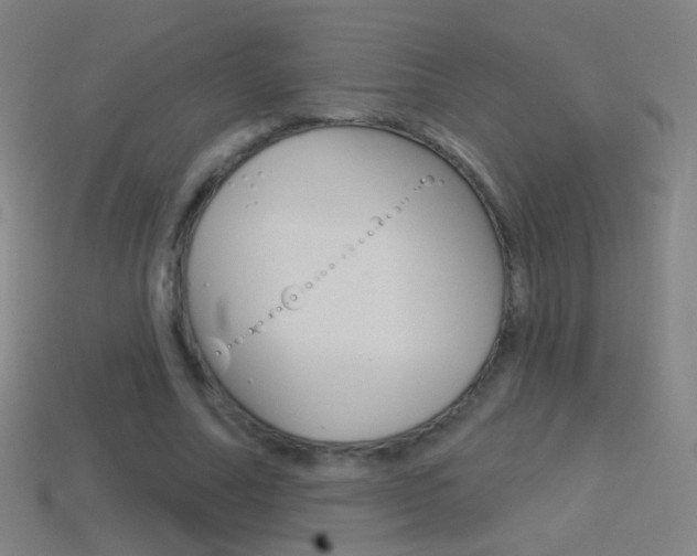 X0000114530682200910191010