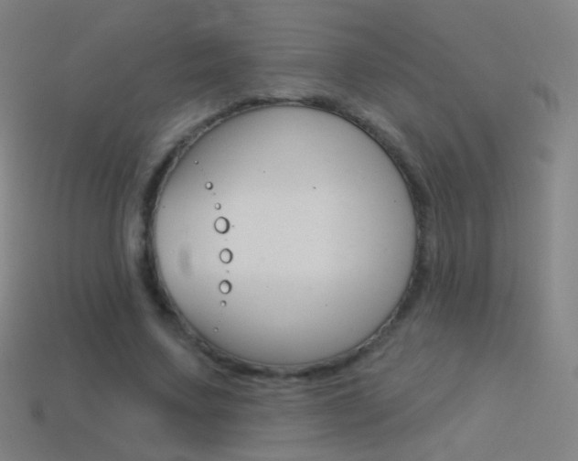X0000114530683200910191010