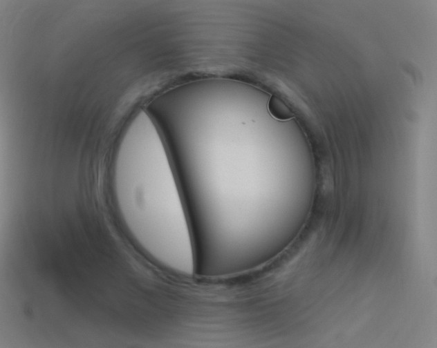 X0000114530685200910191010