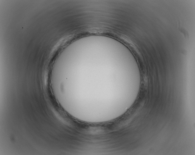 X0000114530686200910191010