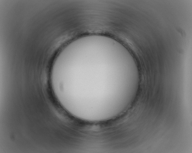 X0000114530687200910191010