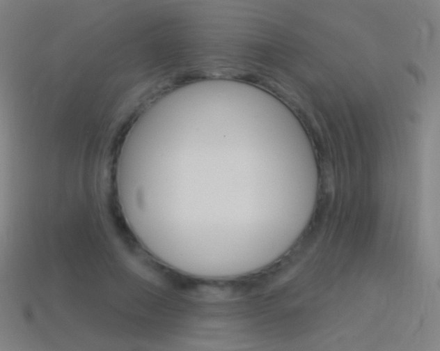 X0000114530690200910191010