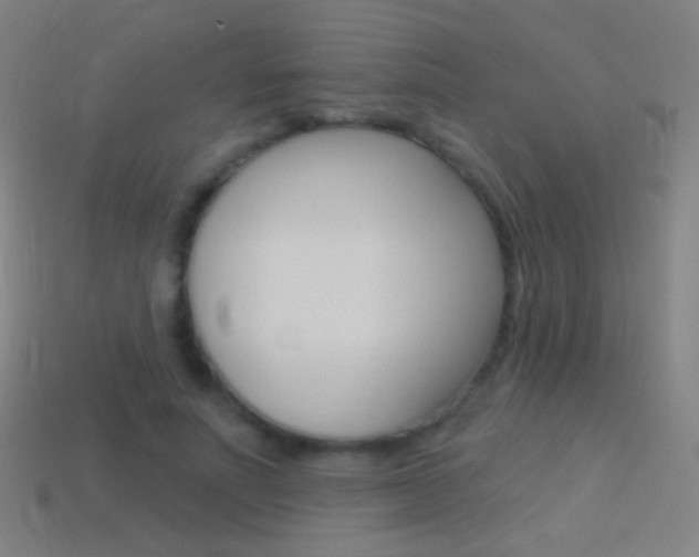 X0000114530691200910191010