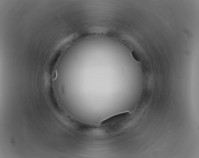 X0000114530692200910191010