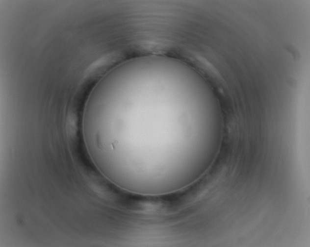 X0000114530693200910191010