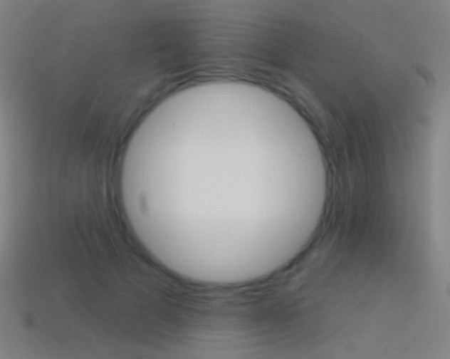 X0000114530697200910191010