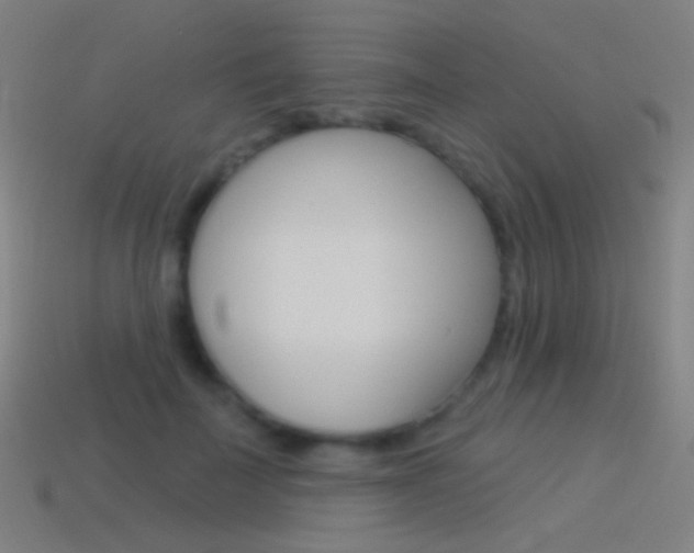 X0000114530699200910191010