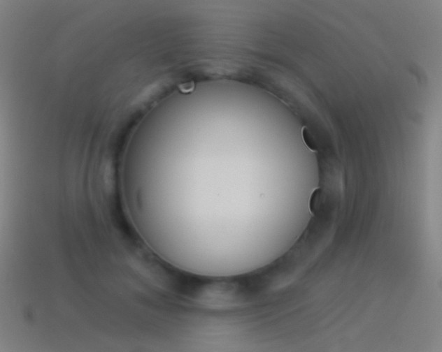X0000114530700200910191010