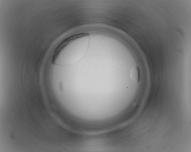 X0000114530701200910191010