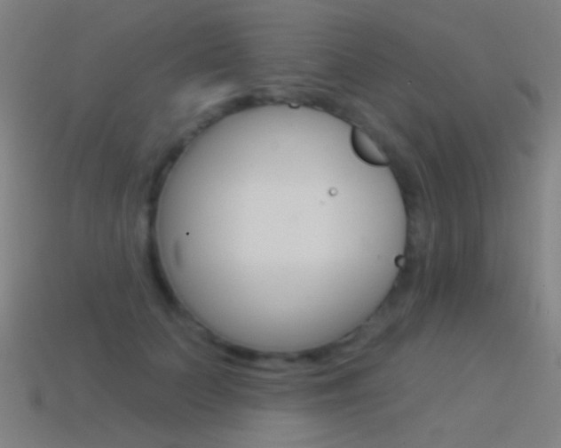 X0000114530703200910191010