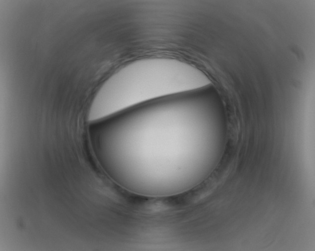 X0000114530704200910191010