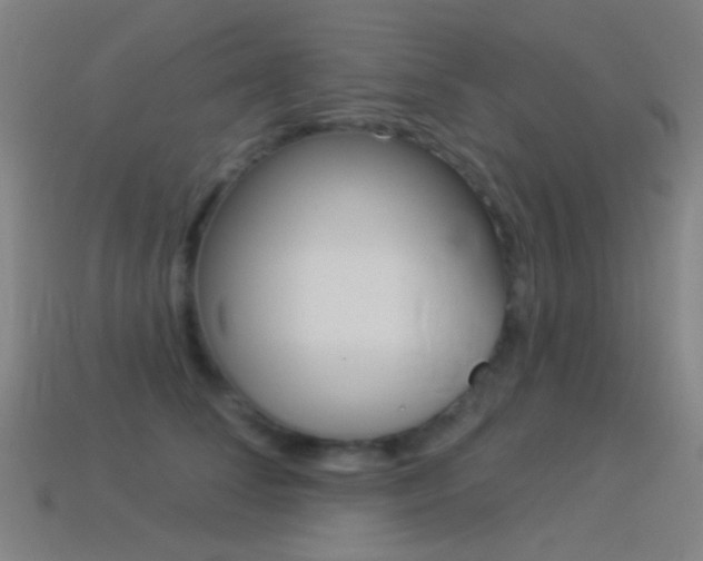 X0000114530708200910191010