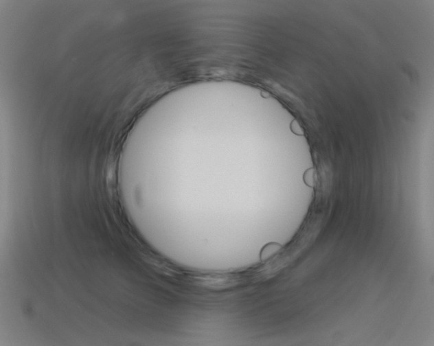 X0000114530709200910191010