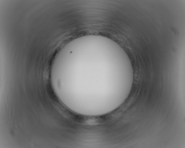 X0000114530710200910191010
