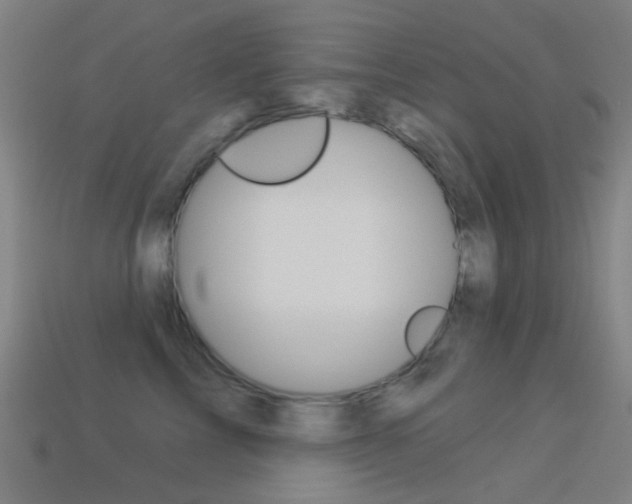 X0000114530713200910191010