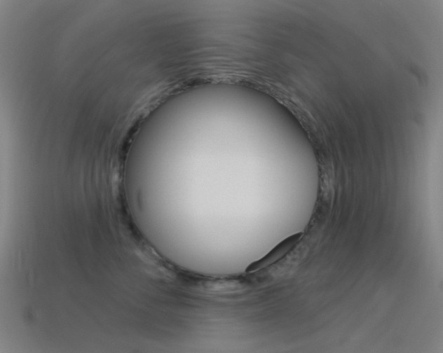 X0000114530716200910191010