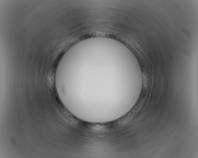 X0000114530718200910191010