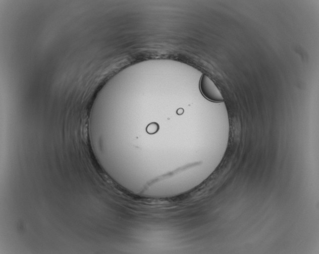 X0000114530719200910191010