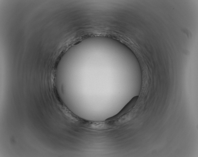 X0000114530720200910191010