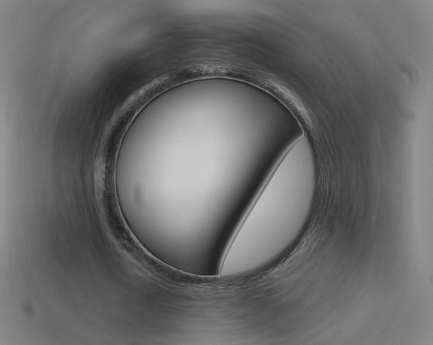 X0000114530722200910191009
