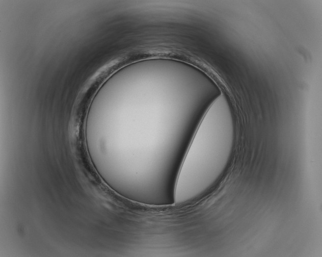 X0000114530723200910191009