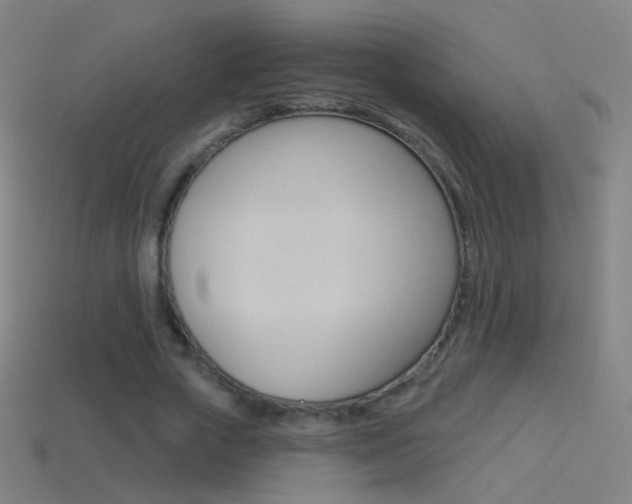 X0000114530729200910191009