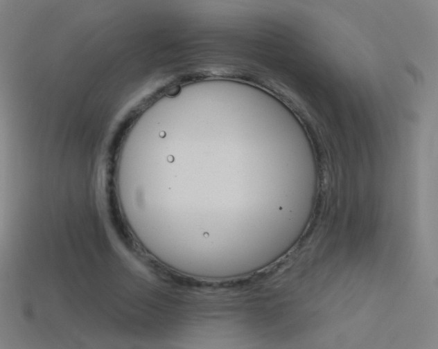 X0000114530730200910191009