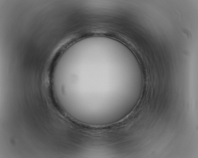 X0000114530731200910191009