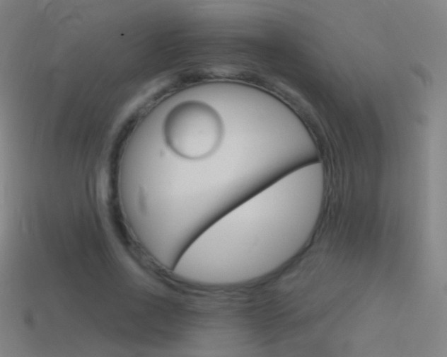 X0000114530734200910191009