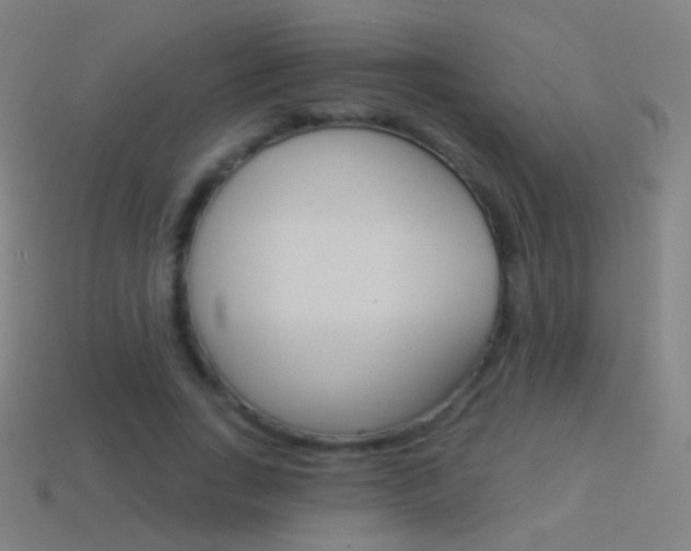 X0000114530735200910191009
